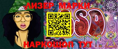 винт Кимры